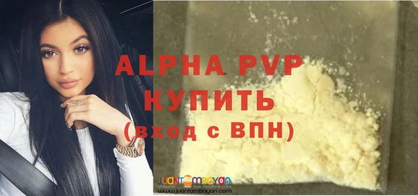 стаф Коряжма