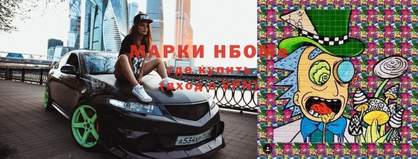 стаф Коряжма