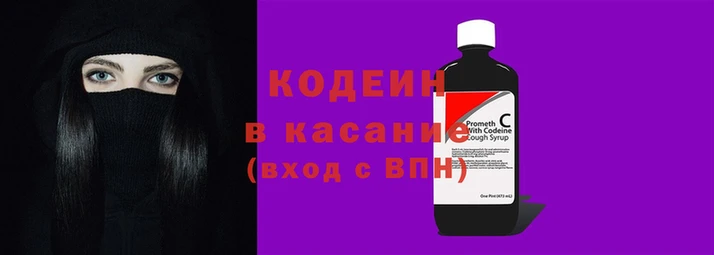 стаф Коряжма