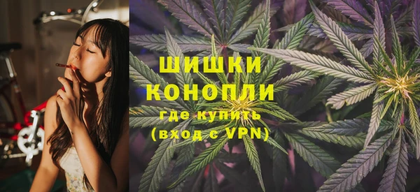 стаф Коряжма