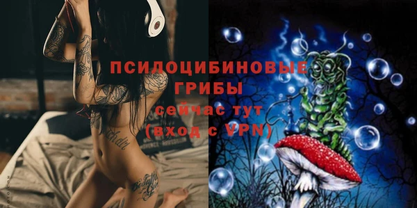 мяу мяу мука Корсаков