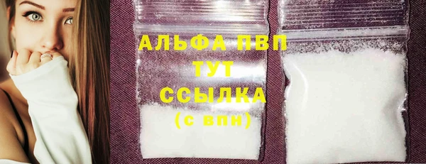 стаф Коряжма