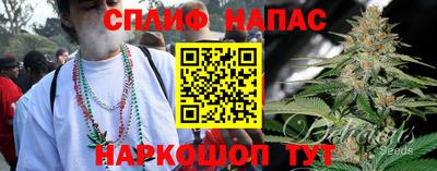 дживик Балахна