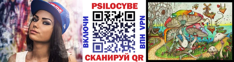 Псилоцибиновые грибы мицелий  Невинномысск 